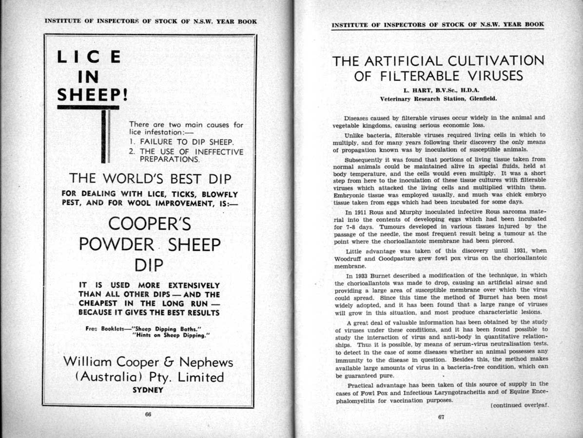 1939 Page 66 67